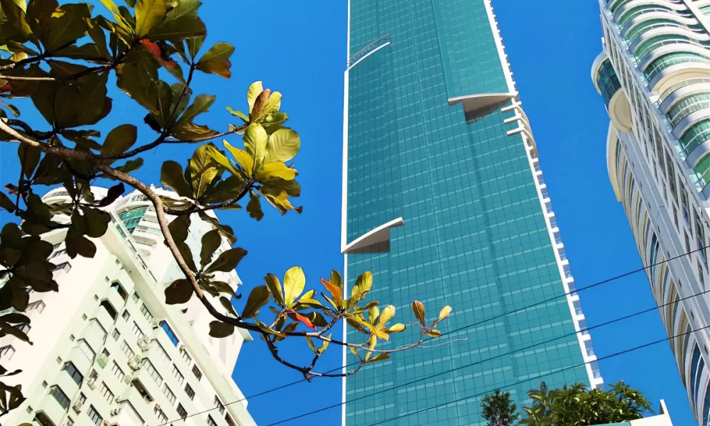 1628351933329_a8a7ad6a-e013-4624-8eb4-8bc535596f73