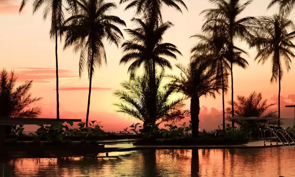 AnyConv.com__Sunrise Reserva Recife